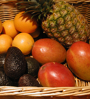 Fruit Basket