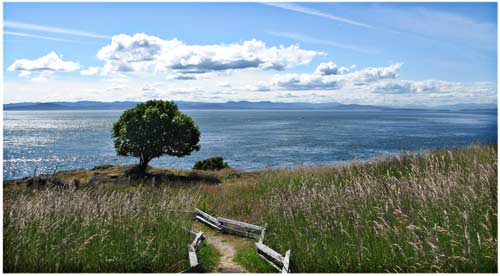 West Side of San Juan Island