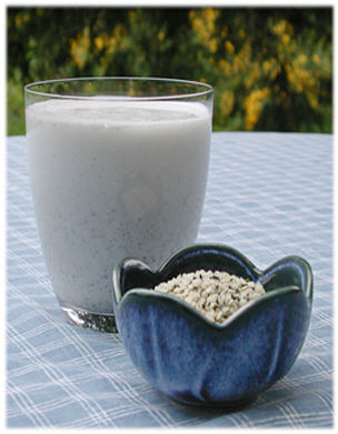 Hemp Seed Nut Milk