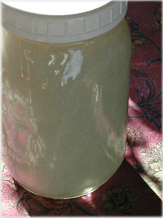 Lassi fermenting