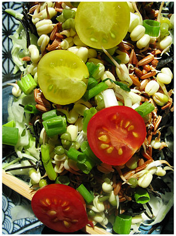 Sprout Salad