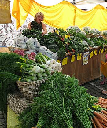 Rabbit Fields Farm