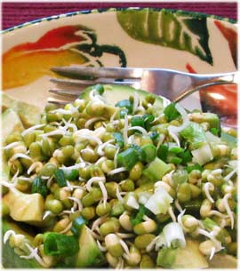 Mung Bean Salad